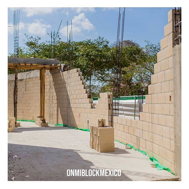 Estructura interna de Omni Block